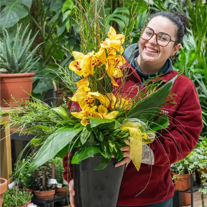 Comprar Vertical de orquídea cymbidium sobre base de cerámica en Barcelona | Flores de Invierno