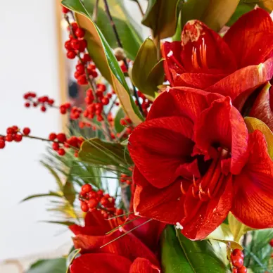 Comprar Jarrón navideño Elegancia Radiante en Barcelona | Ramos y centros de flores de Navidad 2