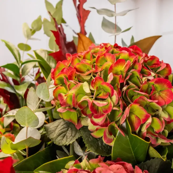 Comprar Jarrón de Hortensias Otoñal en Barcelona | Flores de Otoño