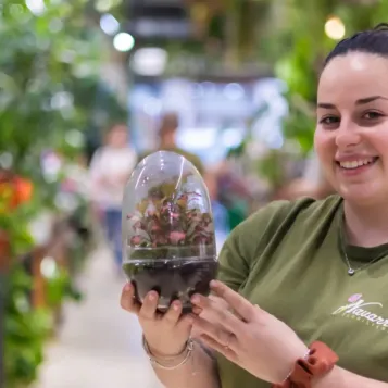 Comprar Terrario Fitonia en Barcelona | Terrarios de Plantas