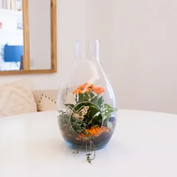 Comprar Terrario de Plantas Mini Variadas en Barcelona | Terrarios de Plantas