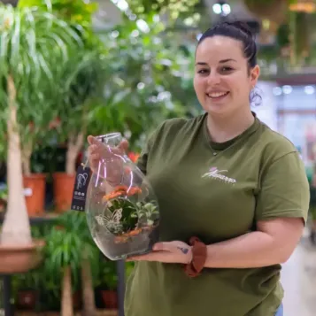 Comprar Terrario de Plantas Mini Variadas en Barcelona | Terrarios de Plantas