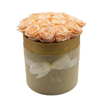 Comprar Caja de Rosas Preservadas en Barcelona | Flores Artificiales o Liofilizadas