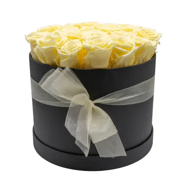 Compra Caixa de 25 Roses Preservades a Barcelona | Flores Artificials o Liofilitzades