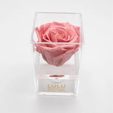 Compra Joyero con Rosa Preservada en Barcelona | Flores Artificiales o Liofilizadas 2