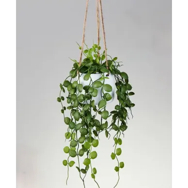 Comprar Suculenta Artificial para Colgar en Barcelona | Plantas Artificiales