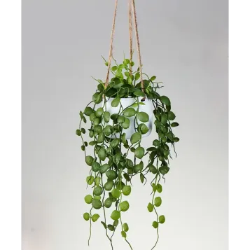 Comprar Suculenta Artificial para Colgar en Barcelona | Plantas Artificiales