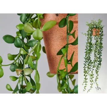 Comprar Dischidia Artificial en Barcelona | Plantas Artificiales
