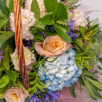 Comprar Cesta Variada con  Hortensias en Barcelona | Centros de Flores