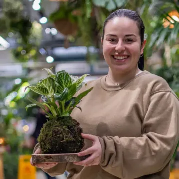 Compra Kokedama Philodendro White a Barcelona | Kokedames