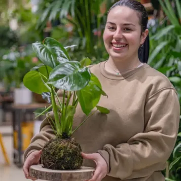 Comprar Kokedama Monstera en Barcelona | Kokedamas