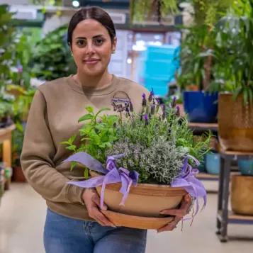 Compra Composició de Plantes Aromàtiques a Barcelona | Grups de Plantes