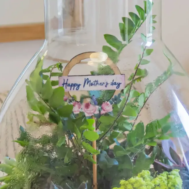 Comprar Terrario Karim en Barcelona | Terrarios de Plantas