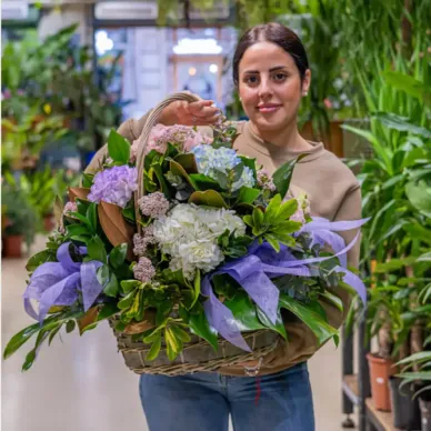 Comprar Cesta de Flor de Hortensia en Barcelona | Flores Día de la Madre