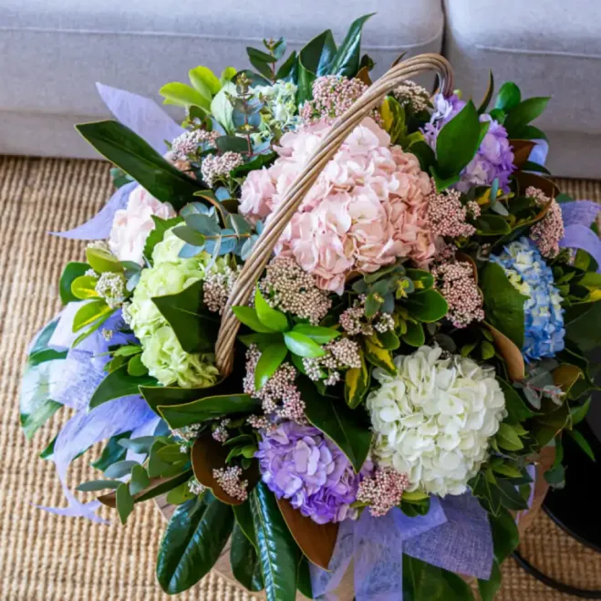 Compra Cistella de Flor d'Hortènsia a Barcelona | Flors Dia de la Mare