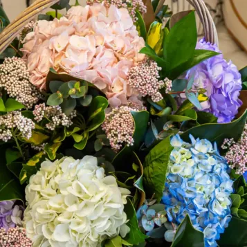 Compra Cistella de Flor d'Hortènsia a Barcelona | Flors Dia de la Mare
