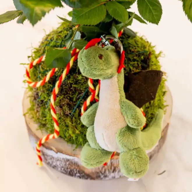 Comprar Kokedama Sant Jordi en Barcelona | Rosas Sant Jordi