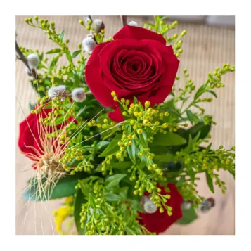 Compra Cilindre Senyera a Barcelona | Roses Sant Jordi