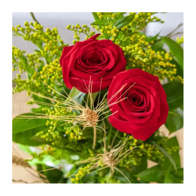 Compra Drac amb Roses a Barcelona | Roses Sant Jordi