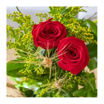 Comprar Dragón con Rosas en Barcelona | Rosas Sant Jordi