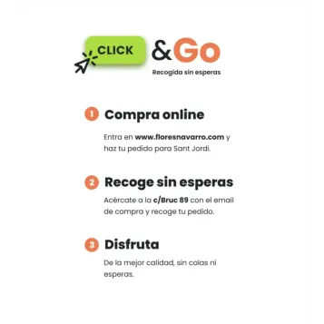 Compra Drac amb Roses a Barcelona | Roses Sant Jordi