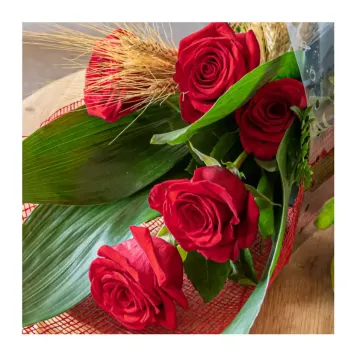 Compra Bolso Sant Jordi a Barcelona | Roses Sant Jordi