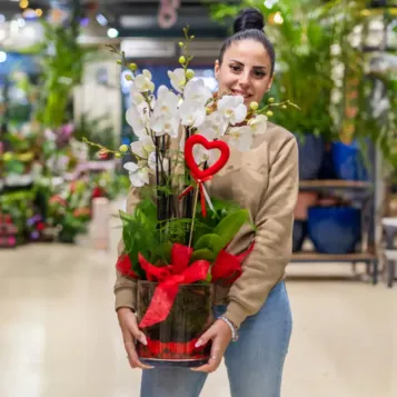 Comprar Cilindro de Orquideas Phalaenopsis Blanca en Barcelona | Flores San Valentín