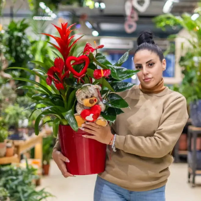 Compra Centre de Guzmania i Anthurium a Barcelona | Flors Sant Valentí