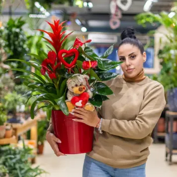 Compra Centre de Guzmania i Anthurium a Barcelona | Flors Sant Valentí