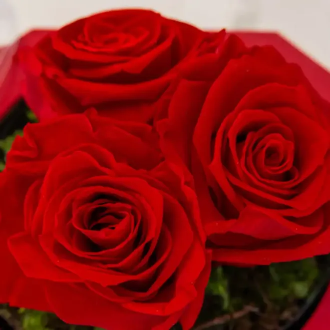 Compra Caixa d'Amor Etern amb Dolç a Barcelona | Flors de Sant Valentí