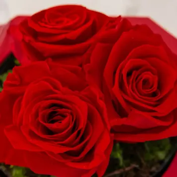 Comprar Caja de Amor Eterno con Dulce Sorpresa en Barcelona | Flores San Valentín