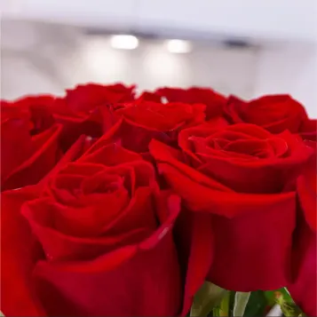 Comprar Arreglo Vertical de 12 Rosas Rojas para San Valentín en Barcelona | Flores San Valentín