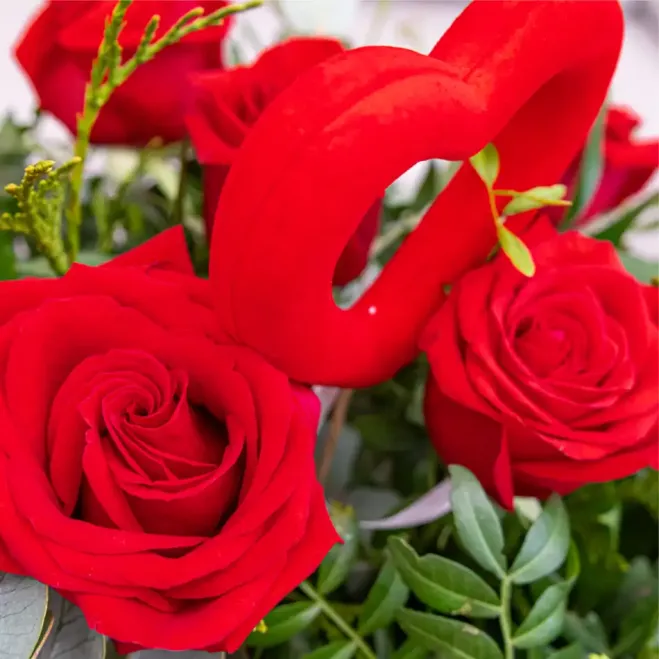 Compra Ram Clàssic de 12 Roses Vermelles amb Detall Especial per Sant Valentí a Barcelona | Flors Sant Valentí