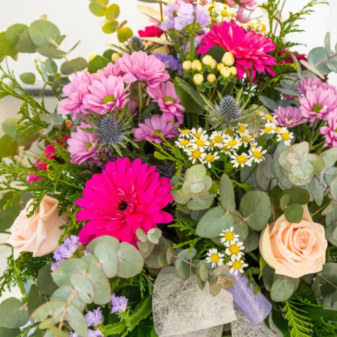 Compra Gerro Hivernal Variat a Barcelona | Flors d'Hivern