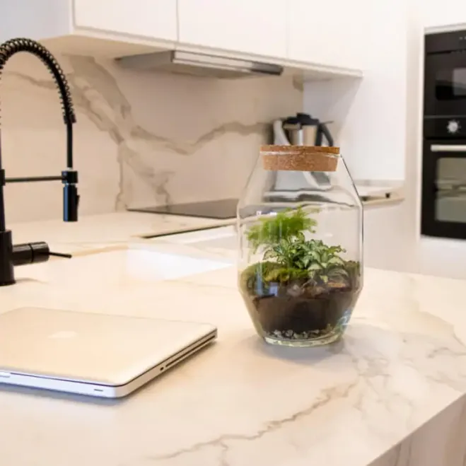 Comprar Terrario Kenya en Barcelona | Terrarios de Plantas