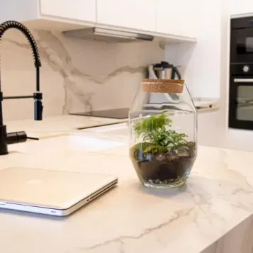 Comprar Terrario Kenya en Barcelona | Terrarios de Plantas