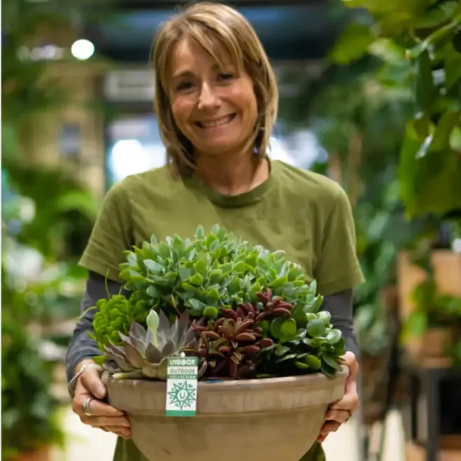 Comprar Terrario Crassbowl en Barcelona | Terrarios de Plantas