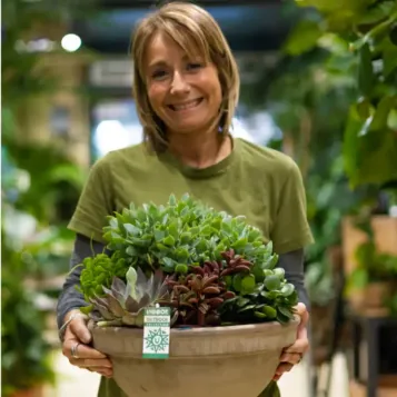 Compra Terrari Crassbowl a Barcelona | Terrari de Plantes