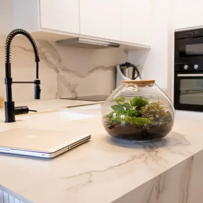 Comprar Terrario Ghana en Barcelona | Terrarios de Plantas