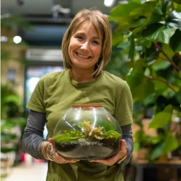 Comprar Terrario Ghana en Barcelona | Terrarios de Plantas