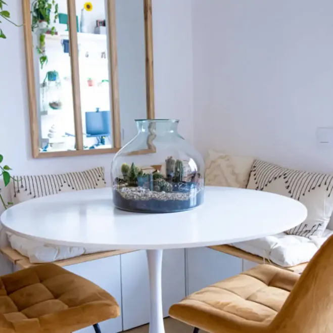 Compra Terrari Tavernes a Barcelona | Terraris de Plantes