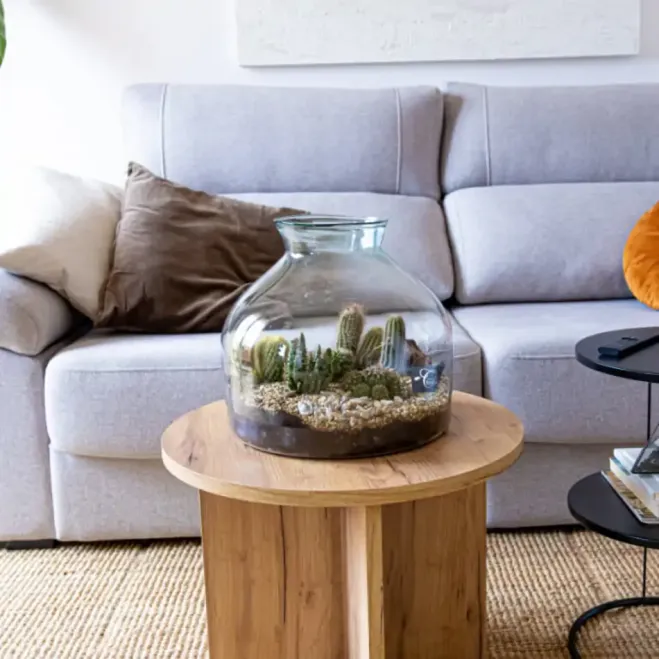 Compra Terrari Tavernes a Barcelona | Terraris de Plantes