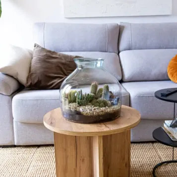 Comprar Terrario Tabernas en Barcelona | Terrarios de Plantas