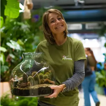Comprar Terrario Tabernas en Barcelona | Terrarios de Plantas