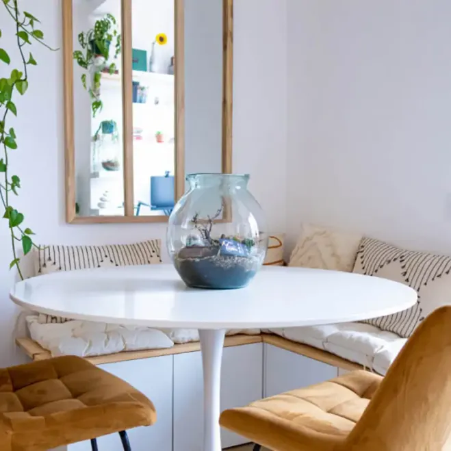 Compra Terrari Carcross a Barcelona | Terraris de Plantes