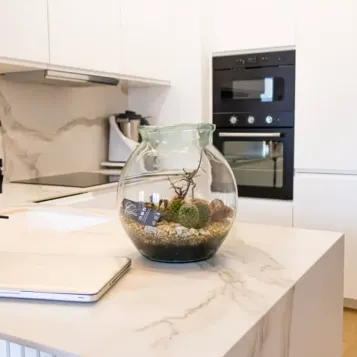 Comprar Terrario Carcross en Barcelona | Terrarios de Plantas