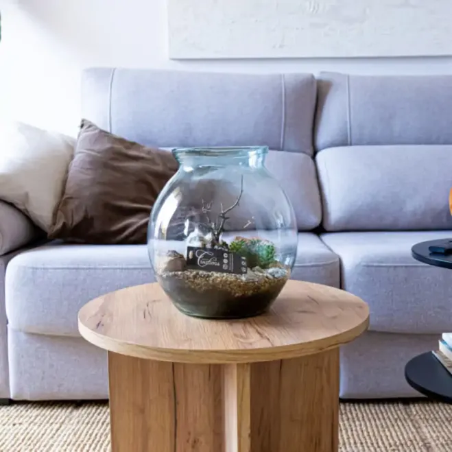 Compra Terrari Carcross a Barcelona | Terraris de Plantes