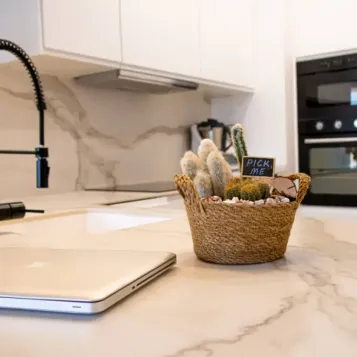 Comprar Gobi en Barcelona | Plantas