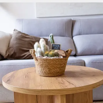 Comprar Gobi en Barcelona | Plantas