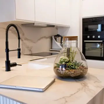 Comprar Terrario Senegal en Barcelona | Plantas